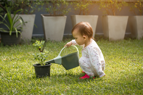 虫がつきにくい観葉植物は エコロジーな虫対策で赤ちゃんがいても安心 Hanaprimeマガジン